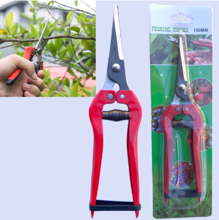 Needle-Nose Fruit Pruner – Precision Stainless Steel Harvesting Shears for Gardening